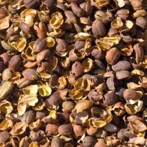 Dried organic coffee husks and parchment skin ready for biomass briquetting machinery.