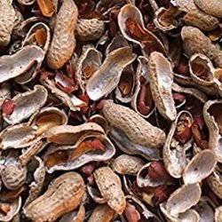 Ground nut shells